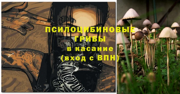 прущие грибы Беломорск