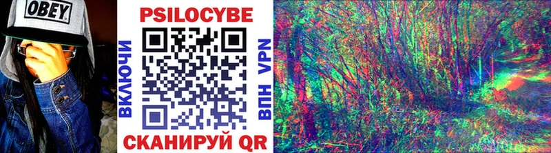 Галлюциногенные грибы Psilocybine cubensis  ссылка на мегу сайт  Томилино  цены наркотик 